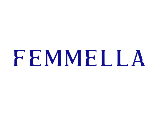 CFO Centre India | Clients | Femmella